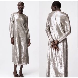 Zara: Silver Sequined Midi Dress